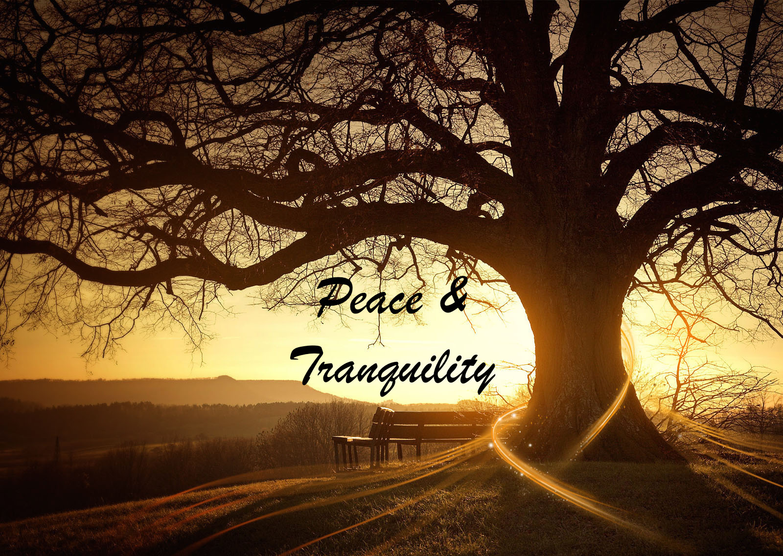 Peace-Tranquility